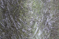 Ashmore fibreglass roof work